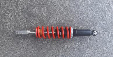 Monoammortizzatore Fantic 125 4T