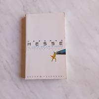 libro - il lupo della steppa