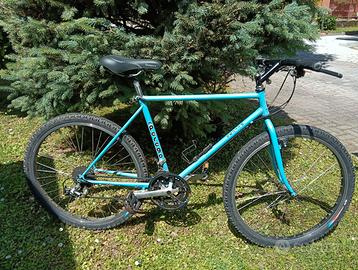 Bicicletta Mtb