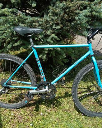 Bicicletta Mtb