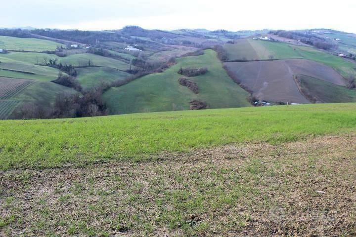 Immobile in asta di 43309 m² a Meldola - Vista 5