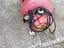 Immagine 1