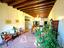 Immagine 15