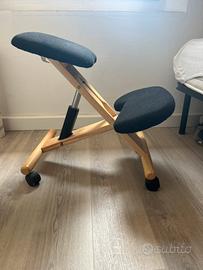 Sedia da Ufficio Ergonomica - Ideale per la postur