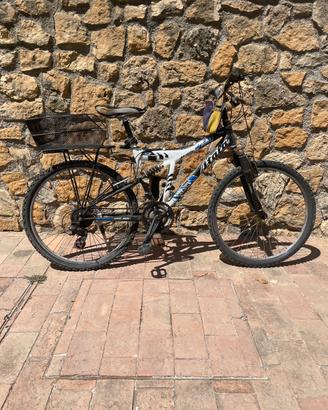 Bici atala dragon