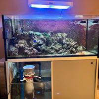 acquario e attrezzatura