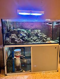 acquario e attrezzatura