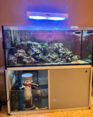 acquario e attrezzatura