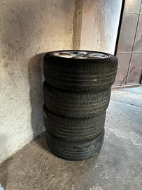 Gomme estive