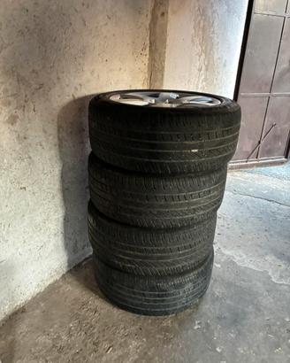 Gomme estive
