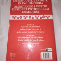 Libro 12 giorni a Natale