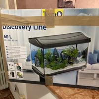 Acquario Discovery Line Tetra