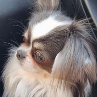 Cupido ci mette lo zampino?