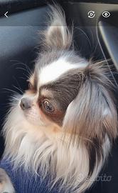 Cupido ci mette lo zampino?