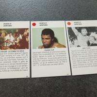 figurine card Sports et aventures Clay Tyson