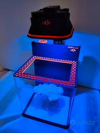 picoreef acquario marino