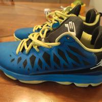 Nike air Jordan CP3