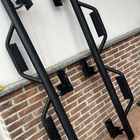 Pedane laterali dodge ram