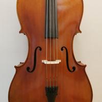 violoncello