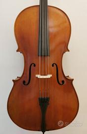 violoncello