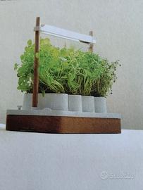 Giardino erbe officinali da interno