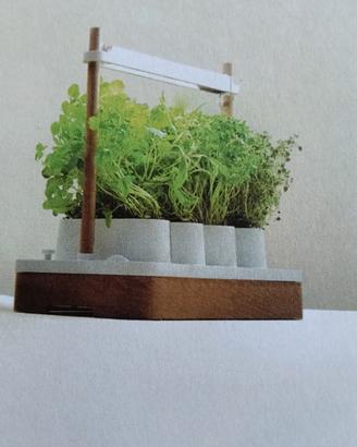 Giardino erbe officinali da interno