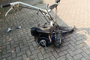 motozappa BERTOLINI COIBRI'