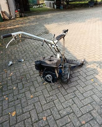 motozappa BERTOLINI COIBRI'
