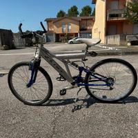 Bicicletta da ragazzo
