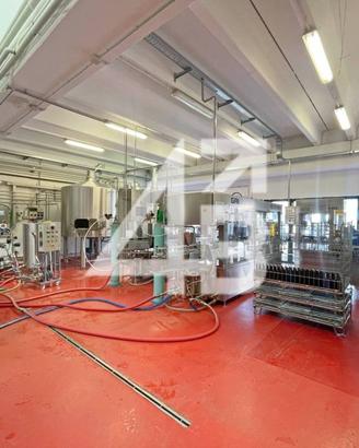 Immobile di 650 m² con più di 5 locali a Sgonico