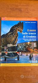 sulle tracce di Erodoto ISBN 9788842404033