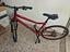 Immagine 3