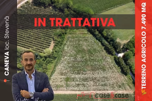 Caneva - Terreno agricolo 33K Rif. V99