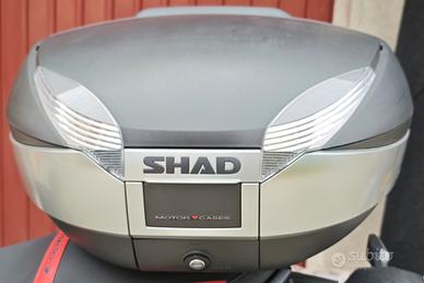 Bauletto Shad SH59X