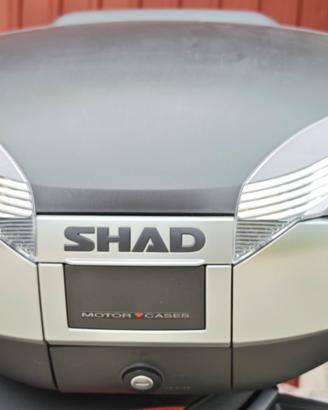 Bauletto Shad SH59X