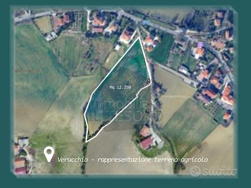Seminativo a Verucchio