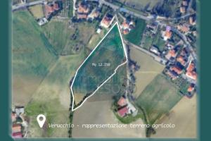 Seminativo a Verucchio