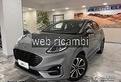 Ford puma stline musata frontale