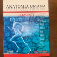 Anatomia Umana ~ Edi ermes v