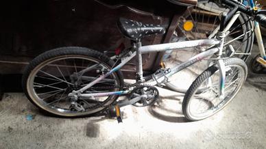 bici da 20