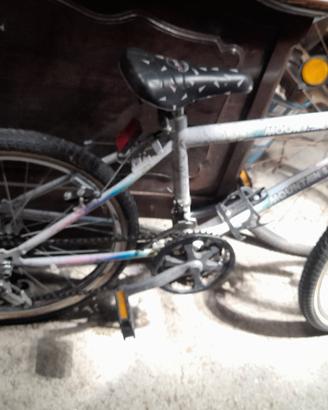 bici da 20