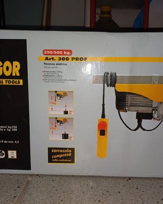 PARANCO ELETTRICO 250/500 KG + PALO SUPPORTO – NUO