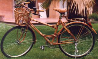 bicicletta con rivestimento in bambù fatto a mano