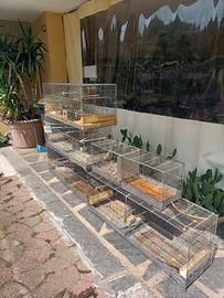 gabbie zincate da riproduzione 
