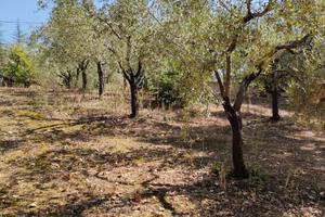 Terreno edificabile zona C2 S. Nicola Manfredi, BN