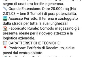 Terreno sacco di chiova Racalm uto