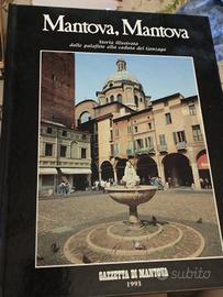 libro Mantova