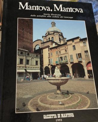 libro Mantova