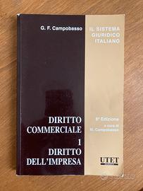 Diritto Dell’Impresa 1