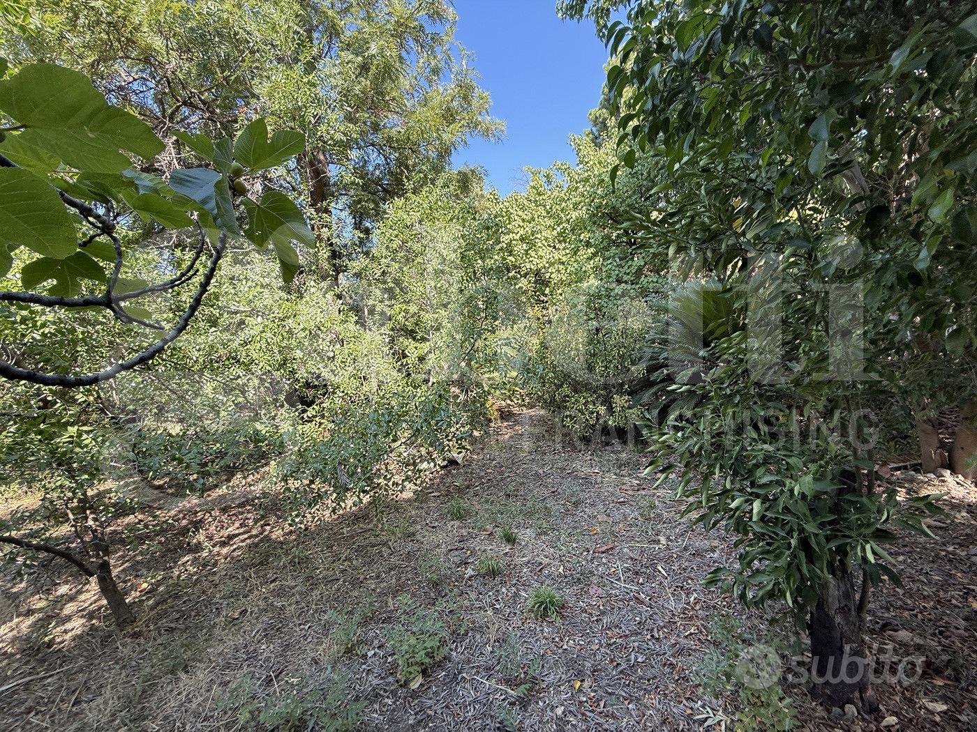 Terreno Residenziale Amantea [Cod. rif 3335806VRG] - Vista 5